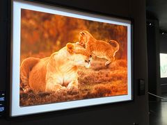 -罗红摄影艺术馆