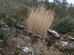 -十里长山生态农业公司