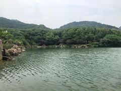 -白马涧龙池景区