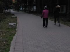 -西苑公园