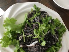 -沈阳市二台子清真牛羊屠宰厂