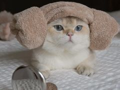 -新石器烤肉(张家港购物公园店)