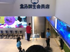 -盒马鲜生(大成店)
