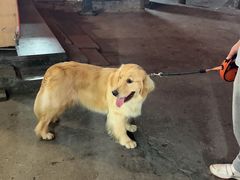 -渝蛙馆(新百店)