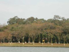 -佛山祈福仙湖酒店