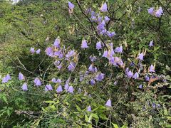-蟠龙山长城景区