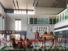 -敦煌莫高国际机场