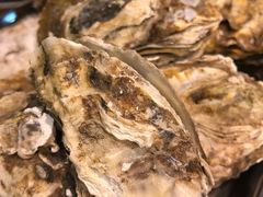 -百味源炭火烤翅 ·夜市大排档(酒仙桥店)