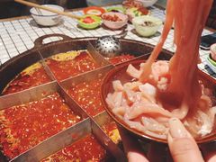 -董眼镜火锅(洪崖洞总店)