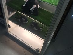 -网鱼网咖·电竞(中山友好广场店)