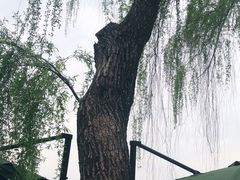 -柳莺湖上·湖景餐厅·江南菜(西湖店)