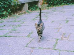 -上海植物园·停车场