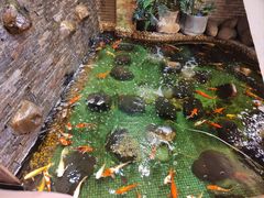 -汇景花园酒家(基立下道店)