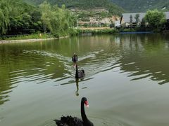 -静之湖度假区