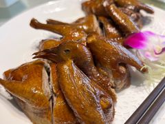 红烧乳鸽-光明招待所(邦凯科技园店)