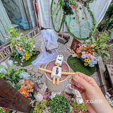 沈阳的春日后花园！！太美好了！！
