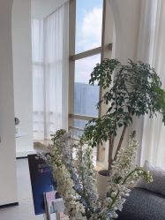 -JNK皮肤管理中心