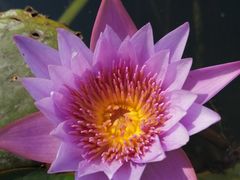 -华南国家植物园-售票处