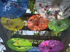 -中国科学院西双版纳热带植物园