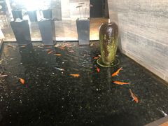 -深圳隐秀山居酒店