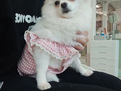 -怪兽屋·羊驼·猫咖·狗咖(俊华广场店)