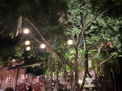 -天门沟九州驿站树上汤泉
