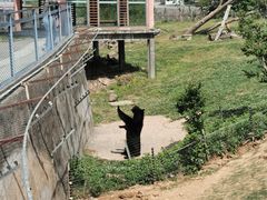 -无锡动物园·太湖欢乐园