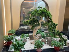 -普天和酒楼·新津菜·烤鸭(天津之眼店)
