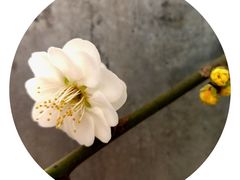 景点-北京鹫峰国家森林公园