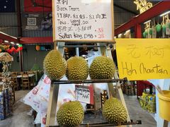 -都念榴莲·城市榴莲