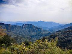 -大岭沟猕猴桃谷风景区