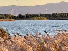 -野鸭湖国家湿地公园