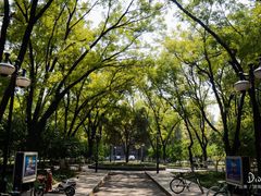 -山东大学(洪家楼校区)
