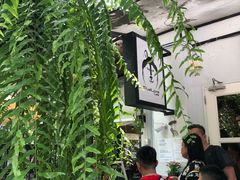 -TrueLove @ Neverland (Husky Cafe)
