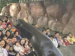-海合安成都极地海洋公园