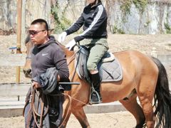 -北京群众马术培训基地