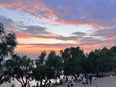 -宝安西湾红树林湿地公园