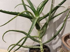 -胡桃里音乐酒馆(四道口店)