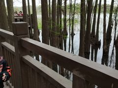 -东湖落雁景区