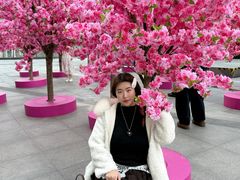 -金茂览秀城