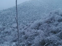android_upload_pic-萍乡武功山风景名胜区