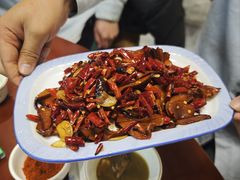 -菌之家·专业纯野生菌火锅·特色炒菌