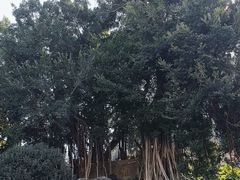-乌山风景区