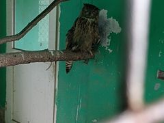 -西霞口神雕山野生动物世界