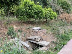 -绵阳盛世樱花悠乐谷