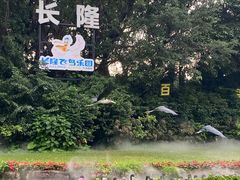 -广州长隆飞鸟乐园