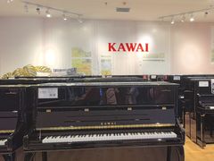 -柏斯音乐艺术中心·钢琴·吉他(世纪金源店)