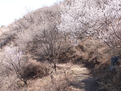 -香山公园