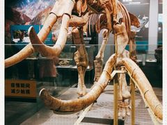 -武汉园博园(武汉自然博物馆)