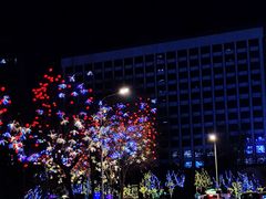 -长春市南湖公园